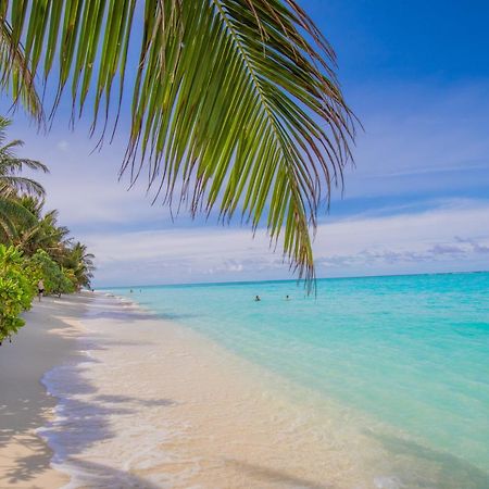 Jeym Lodge Thoddoo Luaran gambar