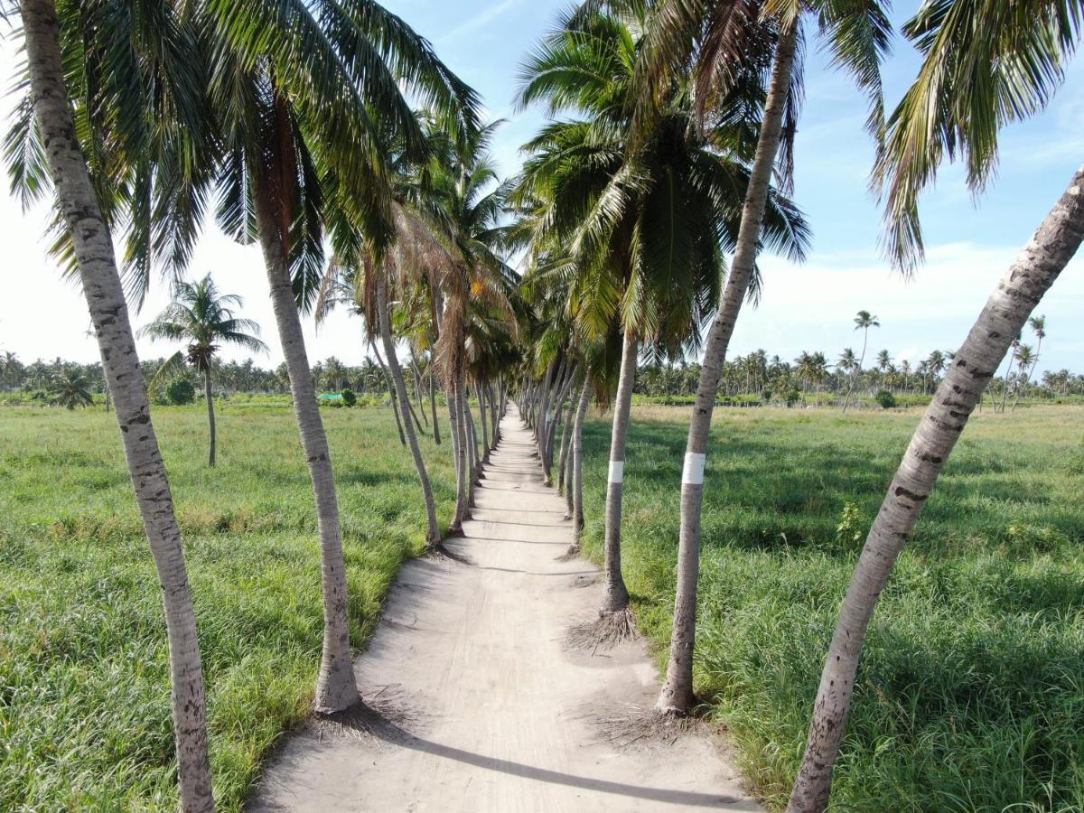 Jeym Lodge Thoddoo Luaran gambar